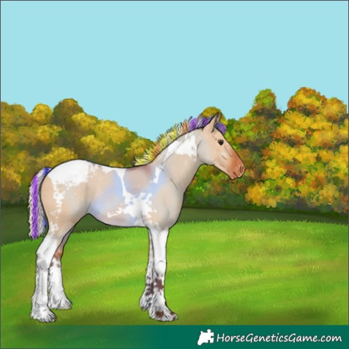 Horse Color:Painted Silver Bay Dun Tobiano Appaloosa