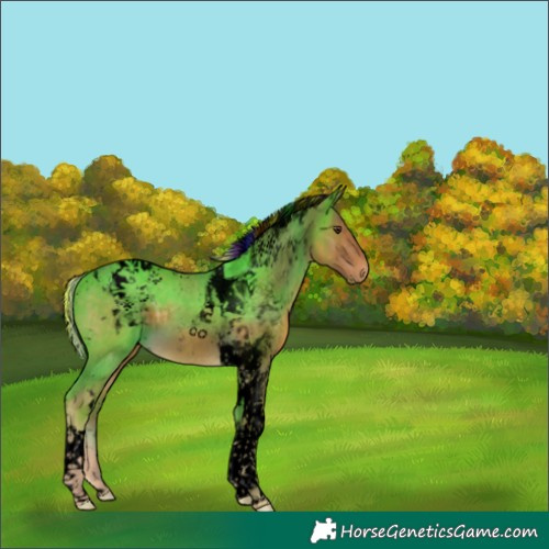Horse Color:Void Painted Chocolate Palomino Tobiano 