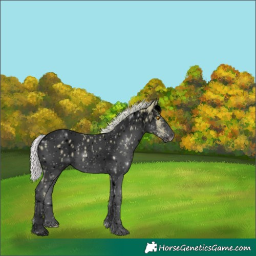 Horse Color:Void Watercolor White Spotted Silver Classic Champagne Dun Tobiano Appaloosa 