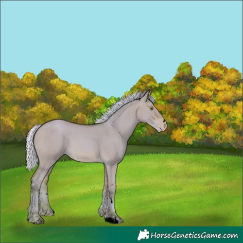 Horse Color:Void Watercolor Silver Sable Champagne Dun