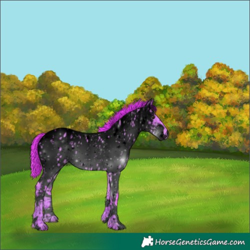 Horse Color:Void Watercolor White Spotted Liver Red Dun Appaloosa 