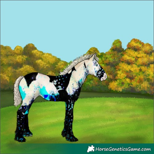 Horse Color:White Spotted Gold Cream Champagne Pearl Onyx Tobiano Varnish Rabicano 