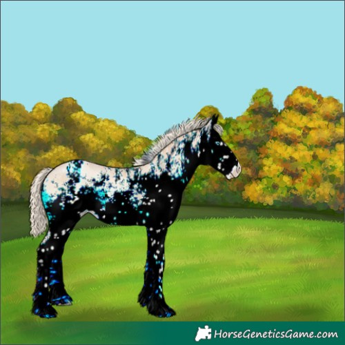Horse Color:White Spotted Gold Cream Champagne Pearl Onyx Mushroom Varnish 