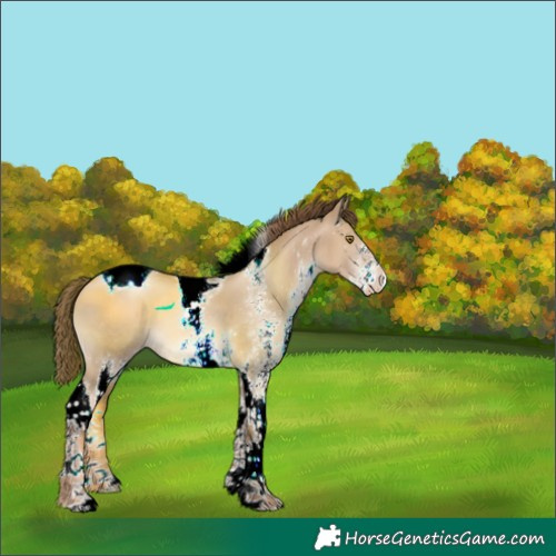 Horse Color:White Spotted Liver Red Dun Pearl Tobiano Appaloosa 