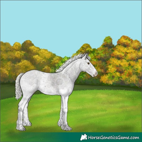 Horse Color:Plaid  Midnight Silver Bay Ice Dun Sabino 