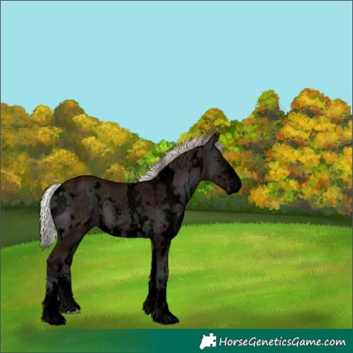 Horse Color:Void White Spotted Midnight Silver Bay Ice Onyx Sabino 