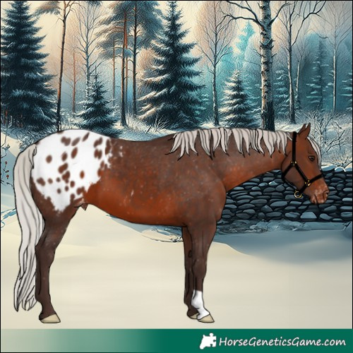 Horse Color:Silver Brown Blanket 