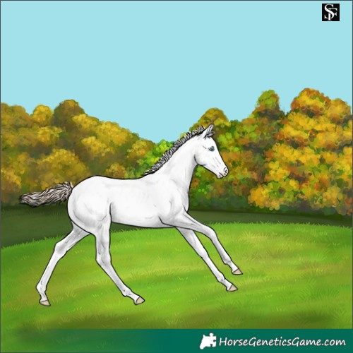 Horse Color:Smoky Creme Dun Sabino 