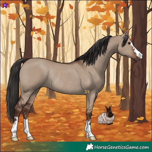 Horse Color:Liver Red Dun Rabicano 