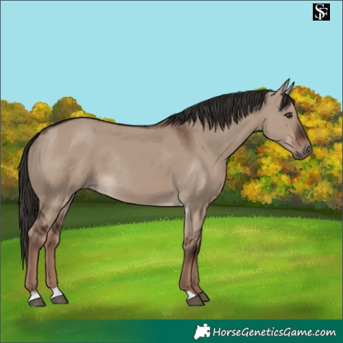 Horse Color:Liver Red Dun Rabicano 