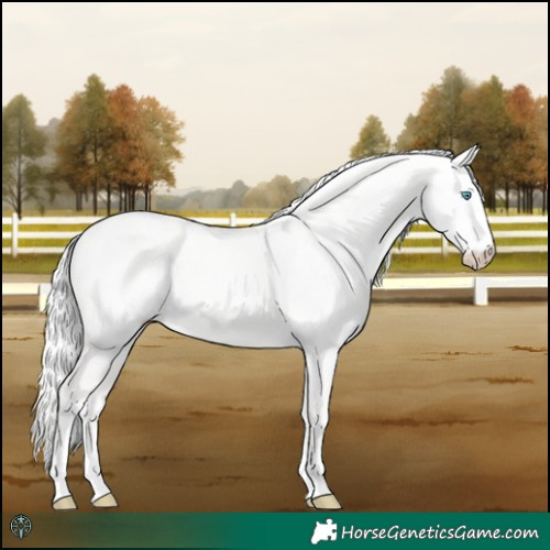 Horse Color:Cremello Dun