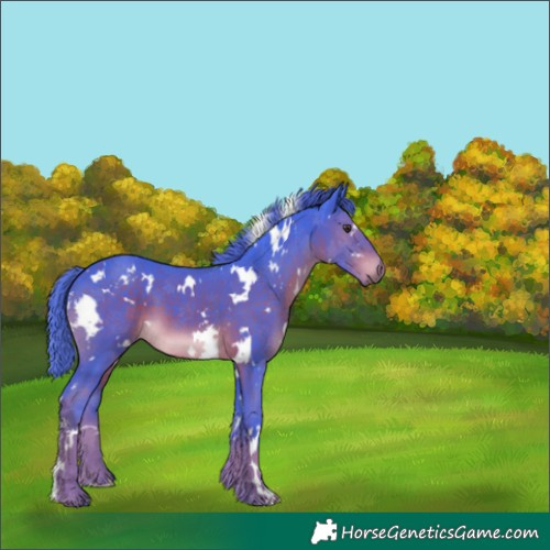 Horse Color:Watercolor White Spotted Liver Chestnut 