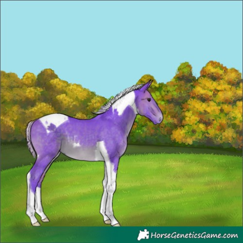 Horse Color:Watercolor Silver Brown Tobiano 