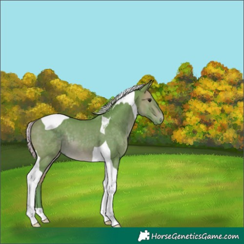 Horse Color:Watercolor Silver Brown Tobiano 
