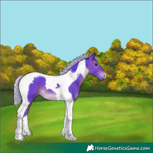 Horse Color:Watercolor Silver Brown Tobiano 