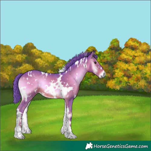 Horse Color:Watercolor White Spotted Liver Red Onyx