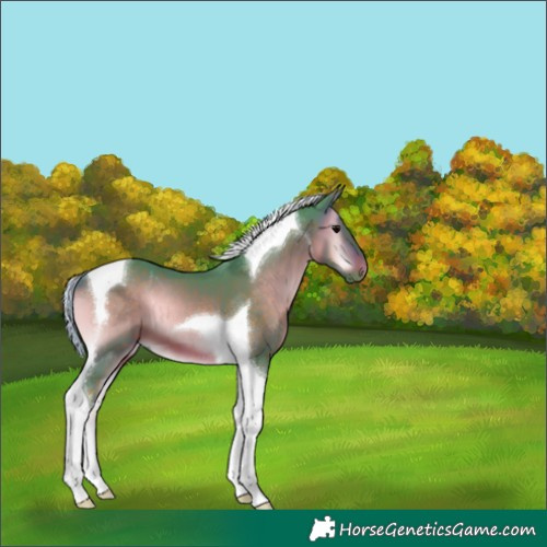 Horse Color:Watercolor Silver Bay Onyx Tobiano 