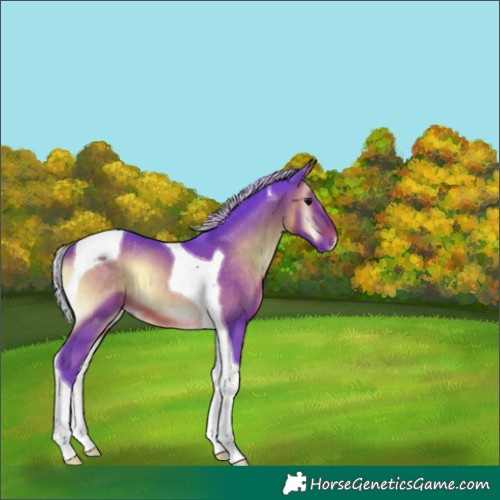 Horse Color:Watercolor Silver Brown Onyx Tobiano 