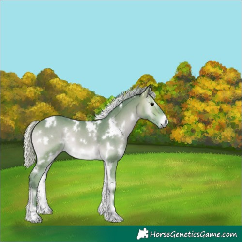 Horse Color:Watercolor White Spotted Silver Brown Onyx 