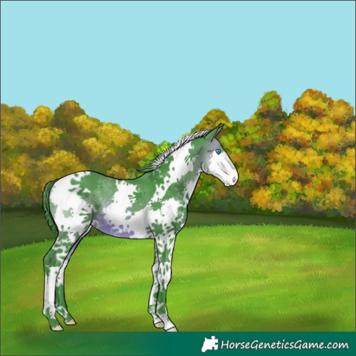 Horse Color:Watercolor Bay Splash Tobiano 