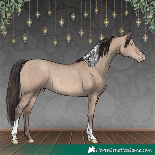 Horse Color:Sable Champagne Dun Tobiano 