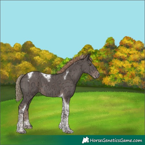 Horse Color:Liver Chestnut Ice Tobiano 