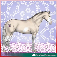 Horse Color:Silver Classic Champagne Dun Splash Frame