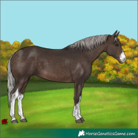 Horse Color:White Spotted Silver Brown 