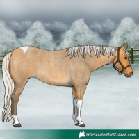 Horse Color:Silver Buckskin Roan Tobiano Rabicano 