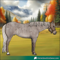 Horse Color:Silver Blue Roan