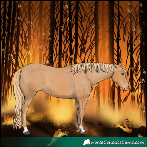 Horse Color:Chestnut Varnish