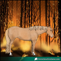 Horse Color:Chestnut Varnish