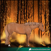 Horse Color:Chestnut Varnish
