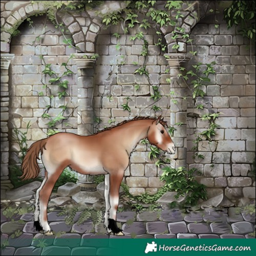 Horse Color:Blue Onyx Pearl 