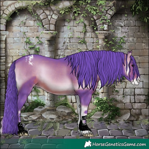 Horse Color:Watercolor Brown Onyx Appaloosa 