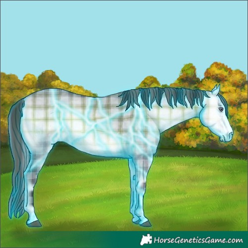 Horse Color:Thunderstruck Plaid Buckskin Chinchilla Onyx Mushroom Sabino