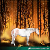 Horse Color:Gray Silver Classic Champagne Dun Tobiano 