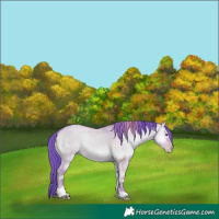 Horse Color:Watercolor Sable Champagne Onyx Sabino