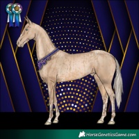 Horse Color:Amber Champagne  and Chocolate Palomino Pearl Rabicano 