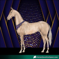 Horse Color:Amber Champagne and Chocolate Palomino Pearl Rabicano