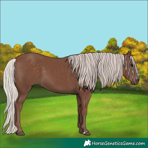 Horse Color:Silver Black