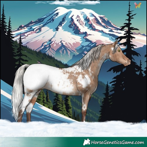 Horse Color:White Spotted Silver Brown Dun Appaloosa Rabicano Brindle 