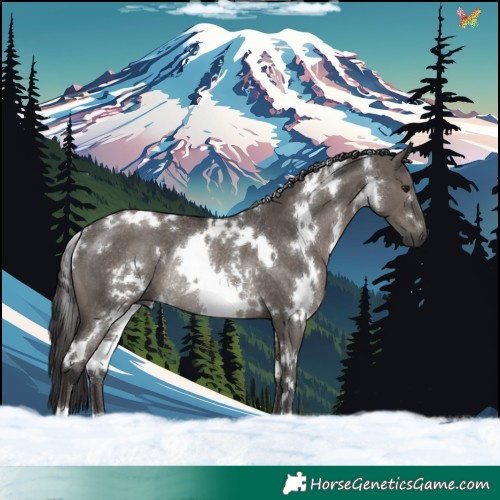 Horse Color:White Spotted Smoky Grullo Rabicano Brindle