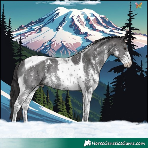 Horse Color:Smoky Black Sabino Tobiano Rabicano 