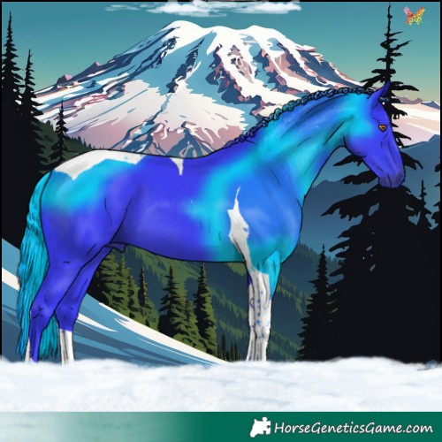 Horse Color:Watercolor Black Tobiano