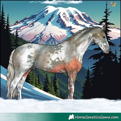Horse Color:Watercolor White Spotted Silver Black 