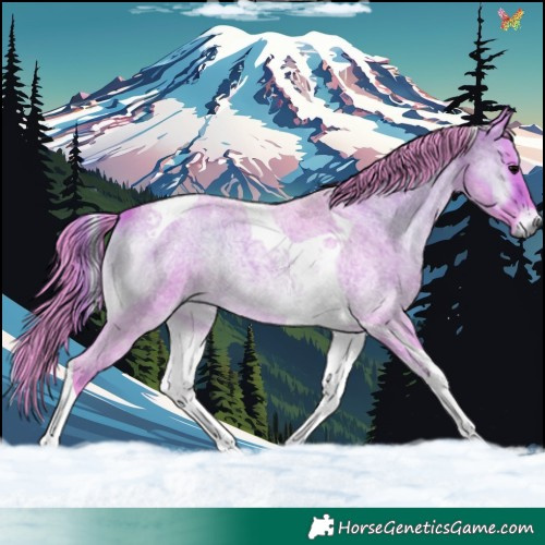 Horse Color:Watercolor Brown Roan Onyx Tobiano