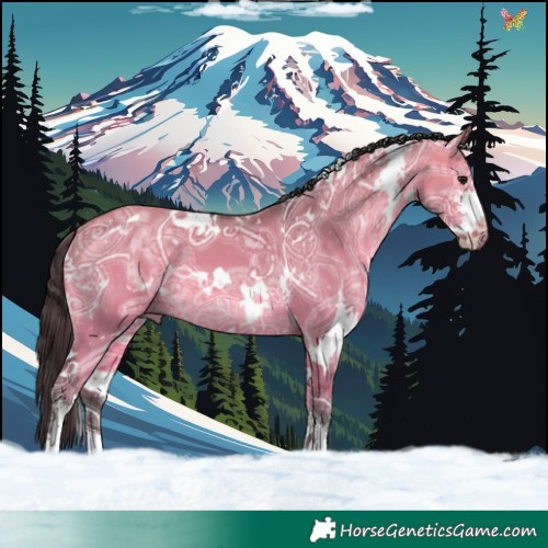 Horse Color:White Spotted Bay Ice Dun Sabino 