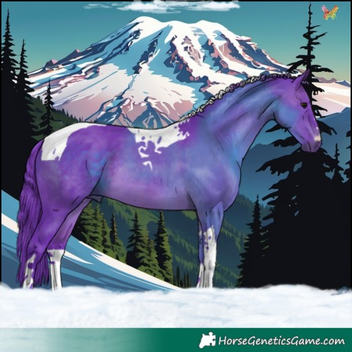 Horse Color:Watercolor Brown Tobiano