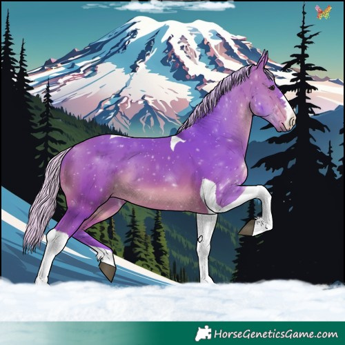 Horse Color:Watercolor Silver Bay Tobiano